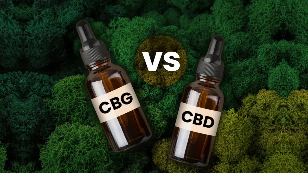 CBG vs CBD