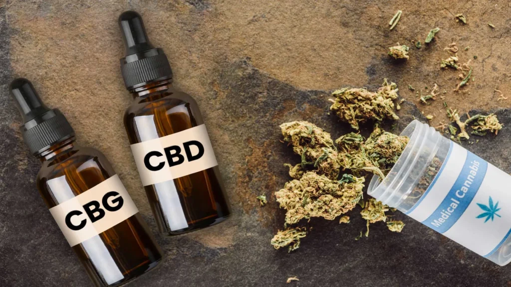 CBG vs CBD
