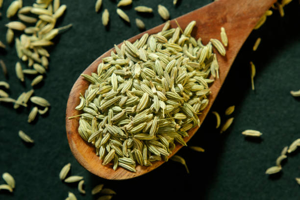 Fennel Seeds