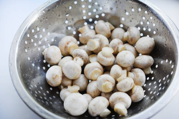 how long do mushrooms stay in your system