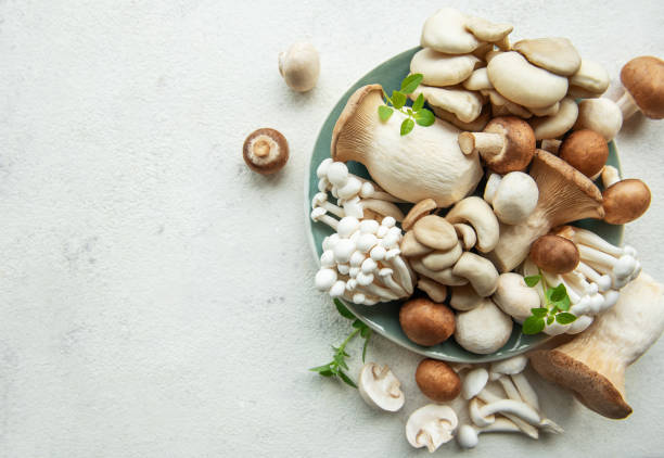 how long do mushrooms stay in your system