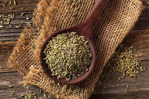Fennel Seeds