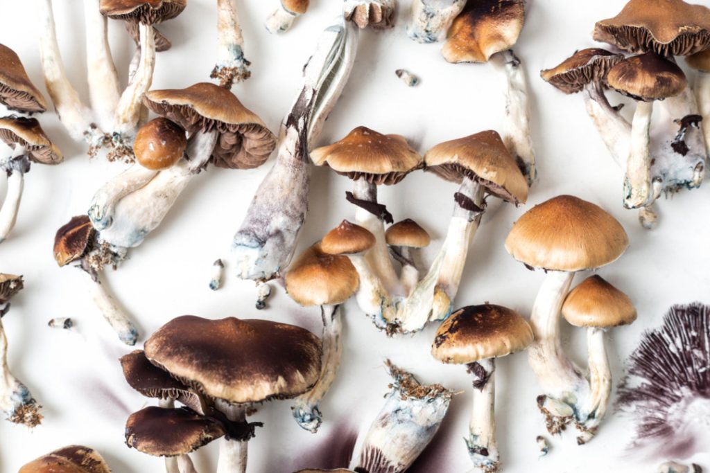 Do Shrooms Show Up on a Urine Test
